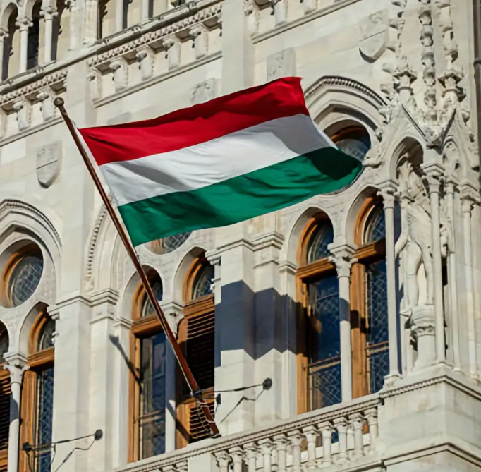 Magyar zászló részlet