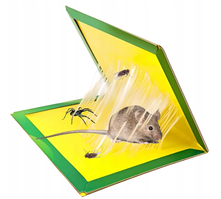 Rágcsálóirtó csapda részlet