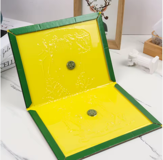 Ragacsos rágcsálócsapda termék