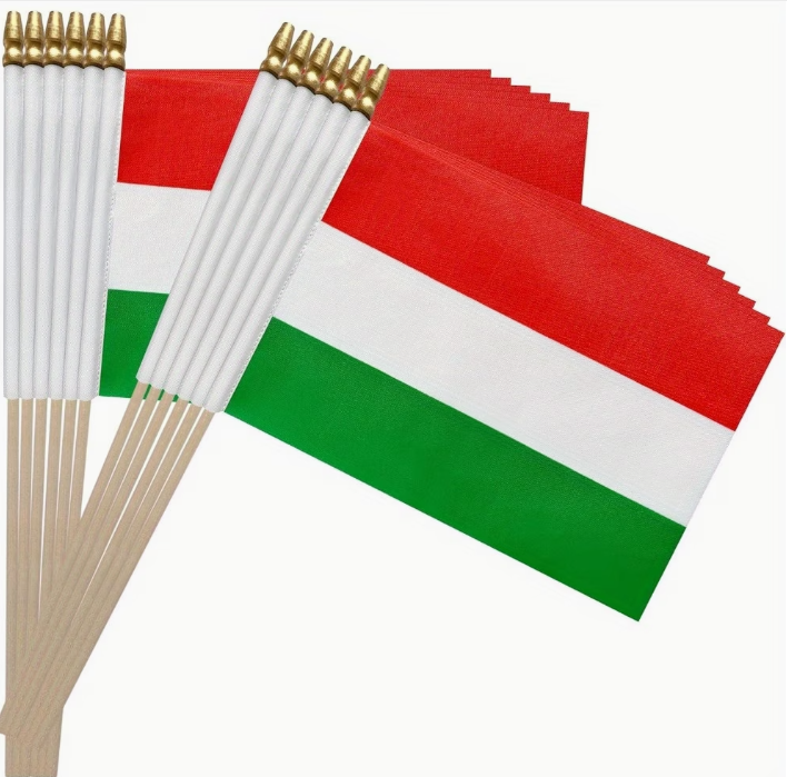 Magyar zászló fa nyéllel